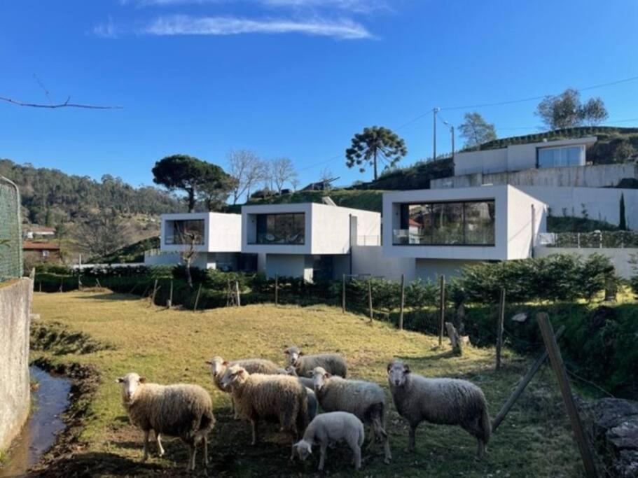Viana Do Castelo - Amonde Village -Casa A * Relax Exterior foto